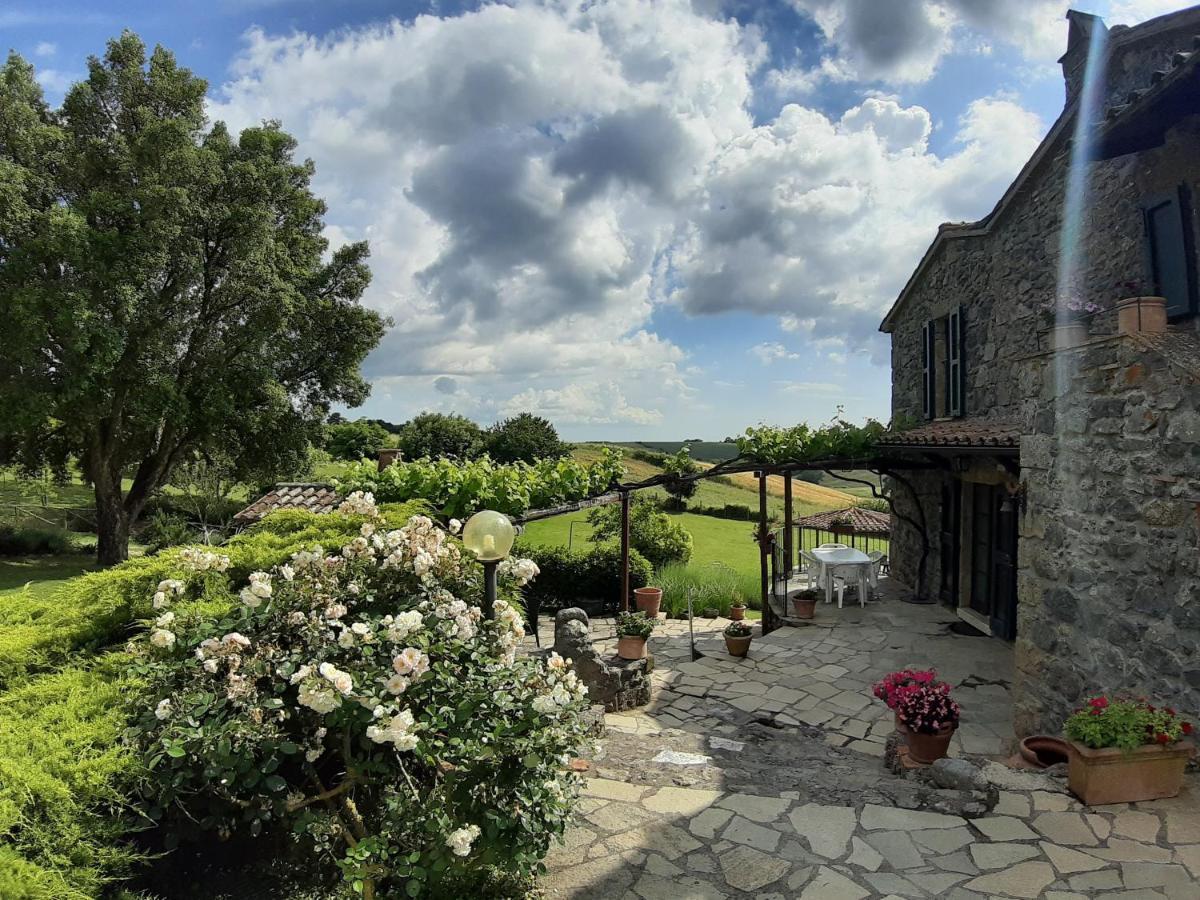 Agriturismo Cantinaccia Di Sopra Pitigliano Exterior photo