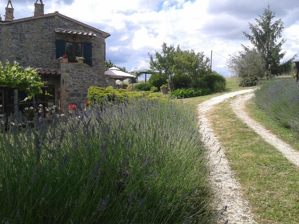 Agriturismo Cantinaccia Di Sopra Pitigliano Exterior photo